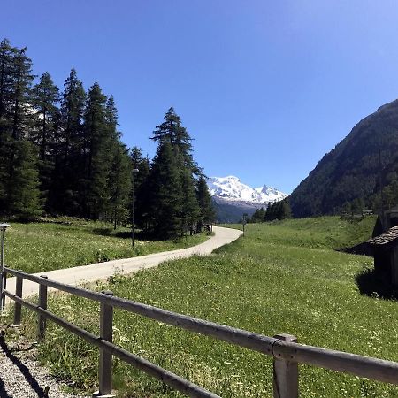 B&B Matterhorn Golf Randa Exteriör bild